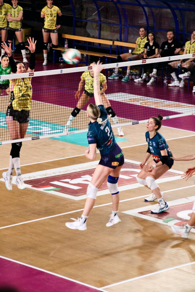 pexels mattia linari 560940610 35670141